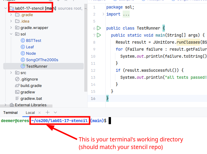 Terminal showing working directory
